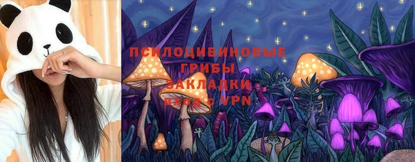 герыч Арсеньев