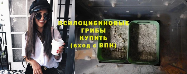 молекула духа Армянск