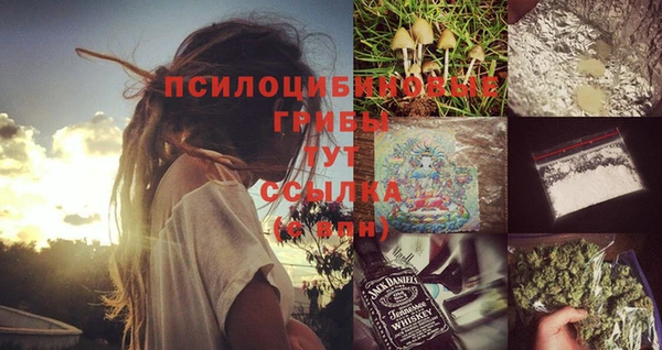 молекула духа Армянск