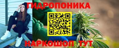 эйфоретик Кингисепп