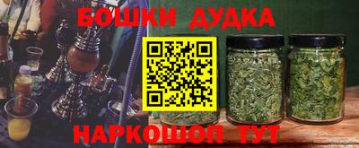 эйфоретик Кингисепп