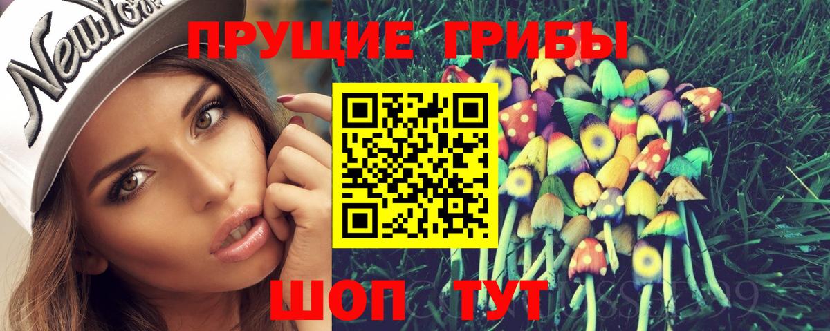 Галлюциногенные грибы Psilocybe  Вход с VPN  Конаково 
